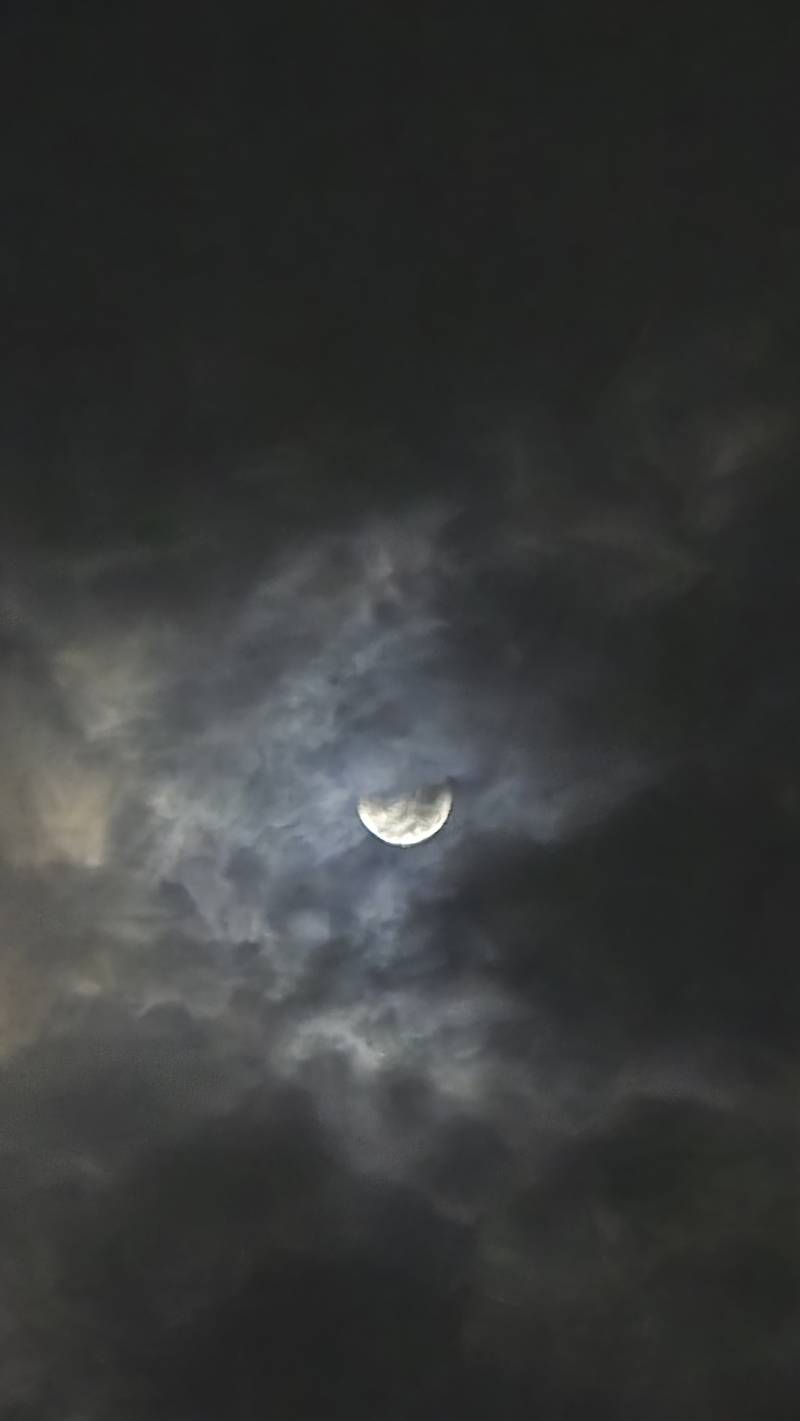 [잡담] 나도 달 좀 보자 | 인스티즈
