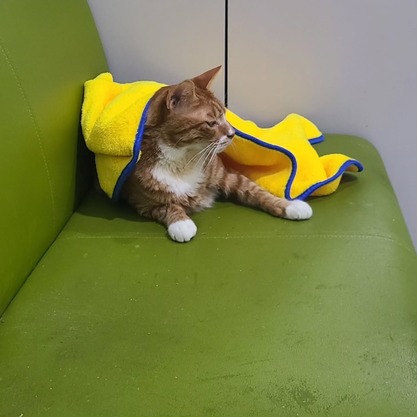 영화 <좀비딸> 애용이 본체 금동이 인스타 사진.jpg | 인스티즈