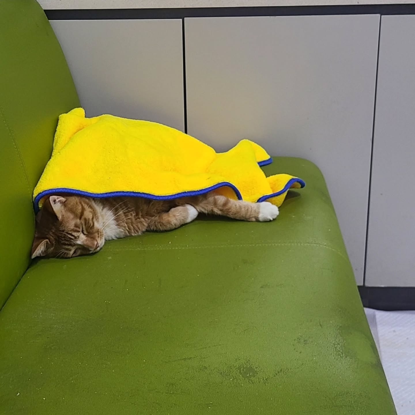 영화 <좀비딸> 애용이 본체 금동이 인스타 사진.jpg | 인스티즈