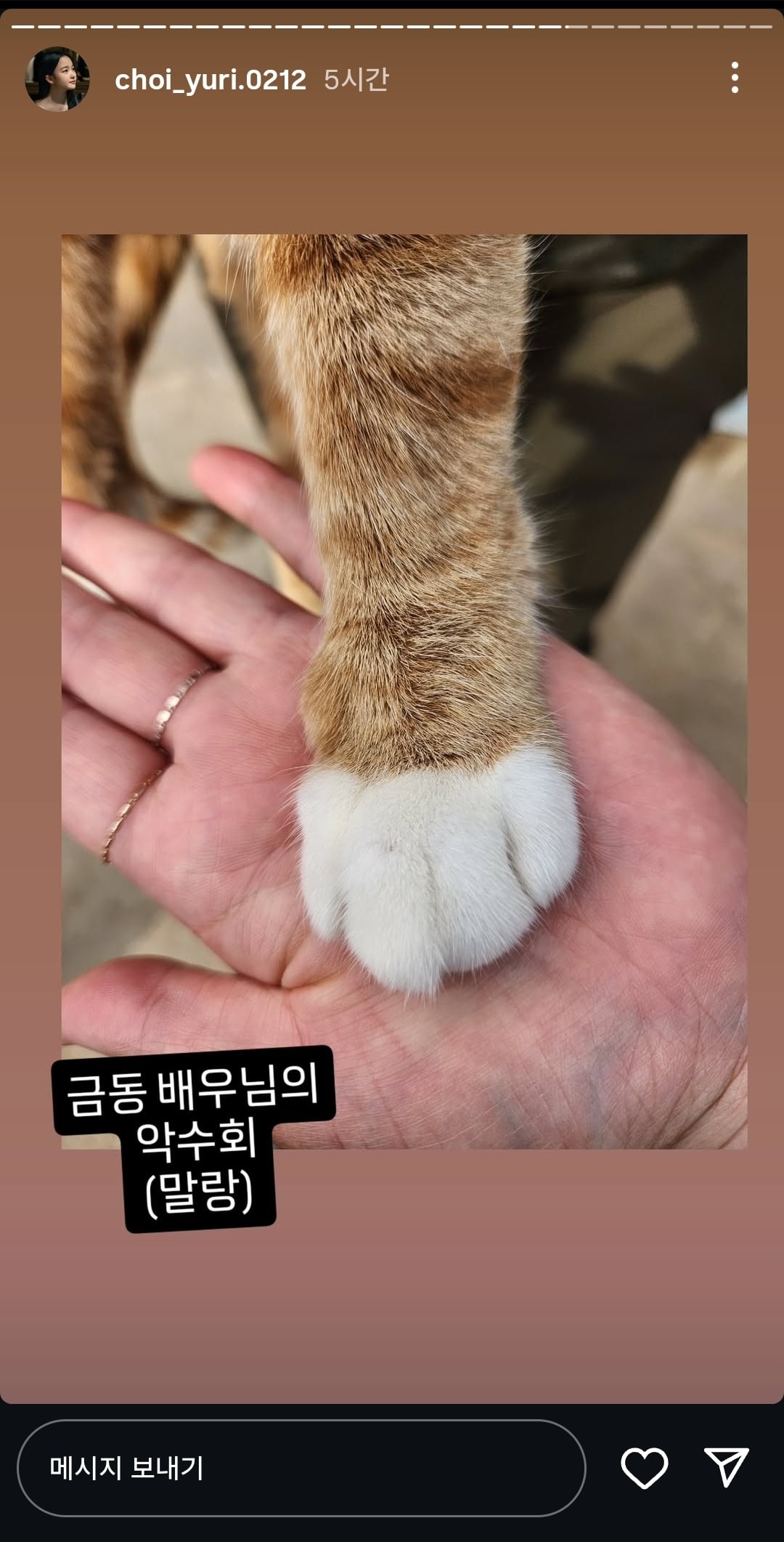영화 <좀비딸> 애용이 본체 금동이 인스타 사진.jpg | 인스티즈
