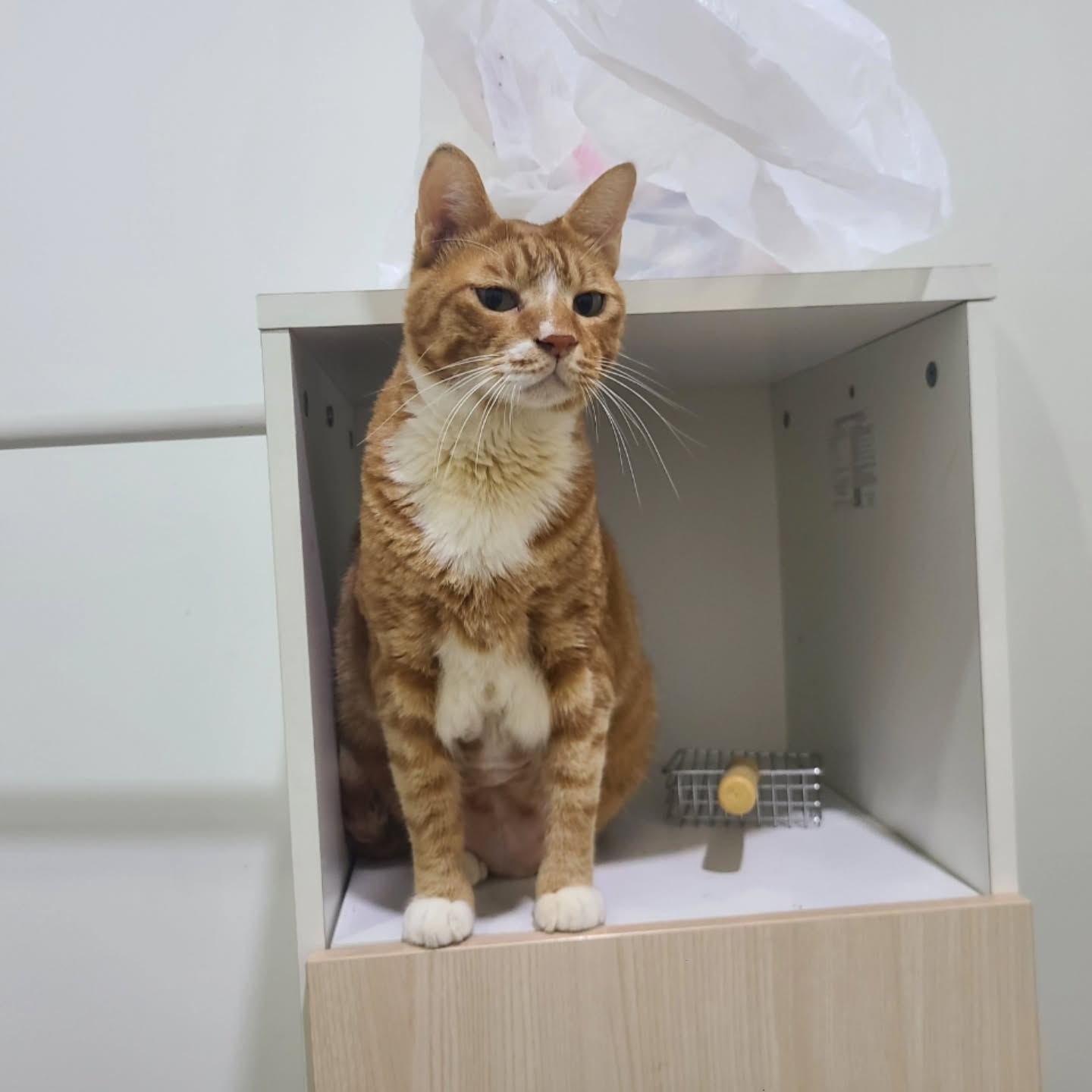 영화 <좀비딸> 애용이 본체 금동이 인스타 사진.jpg | 인스티즈