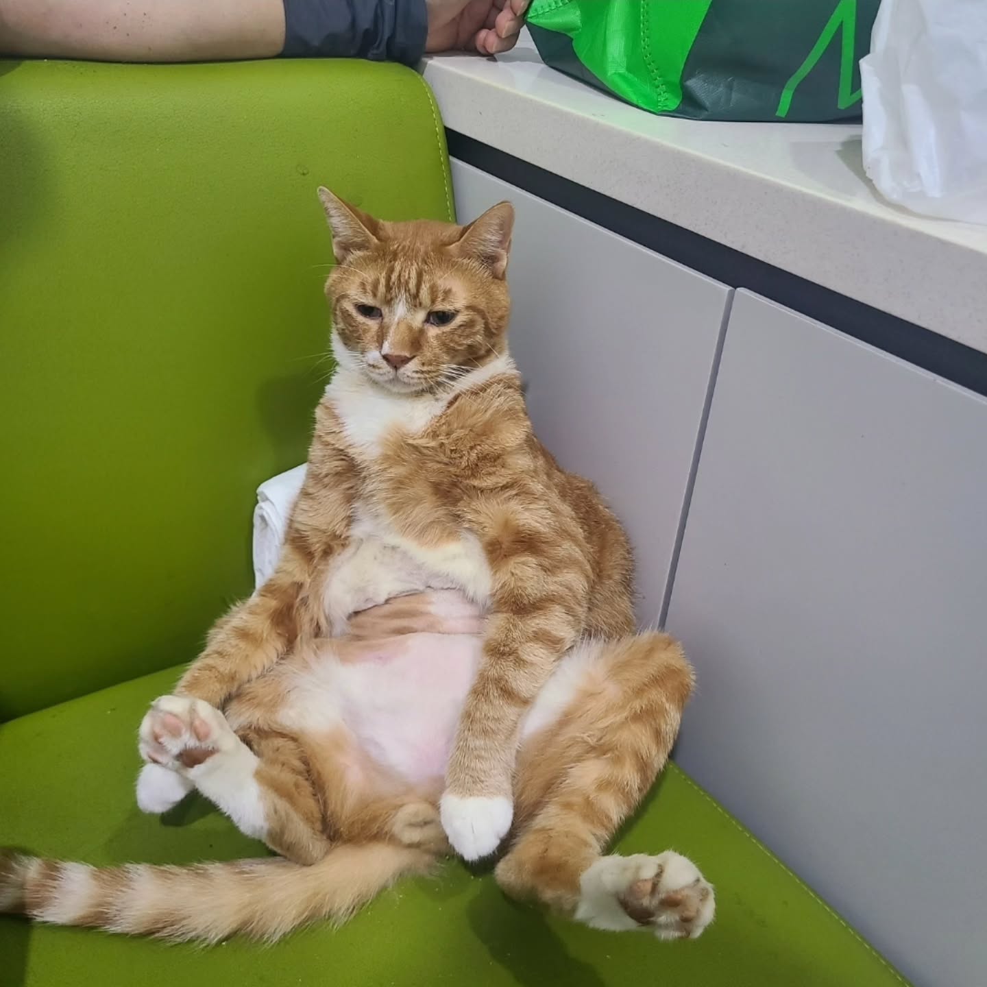 영화 <좀비딸> 애용이 본체 금동이 인스타 사진.jpg | 인스티즈