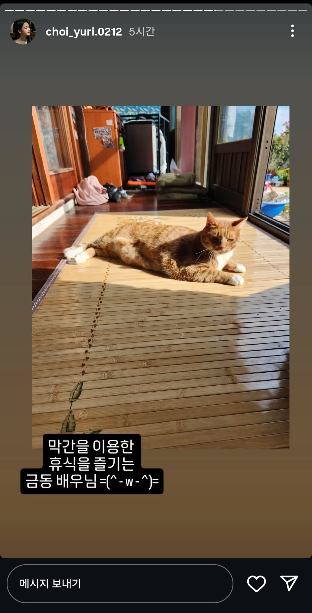 영화 <좀비딸> 애용이 본체 금동이 인스타 사진.jpg | 인스티즈