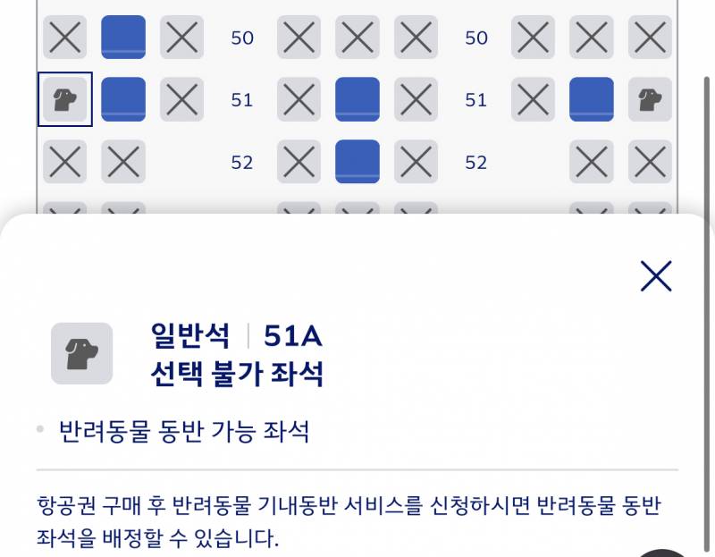 [잡담] 대힌항공 이 좌석에는 개가 탄다는거야?? | 인스티즈
