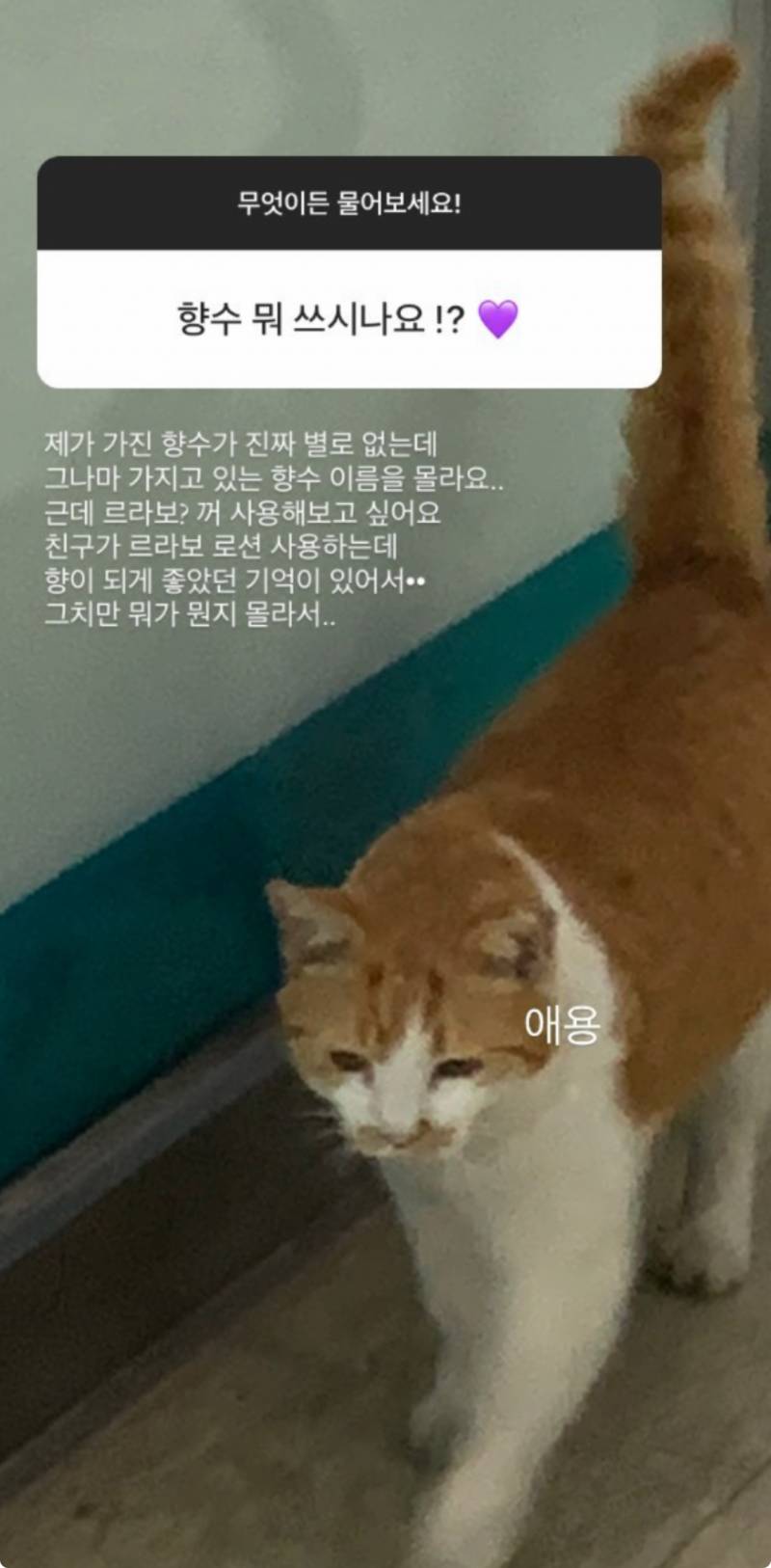 [잡담] 자기가 갖고 있는 향수 이름을 모르는 게 말이 되냐??ㅋㅋㅋ | 인스티즈
