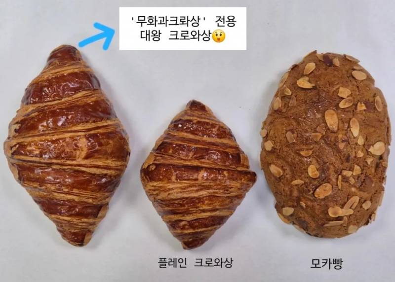 초심잃은 성심당 7500원 신메뉴..JPG | 인스티즈