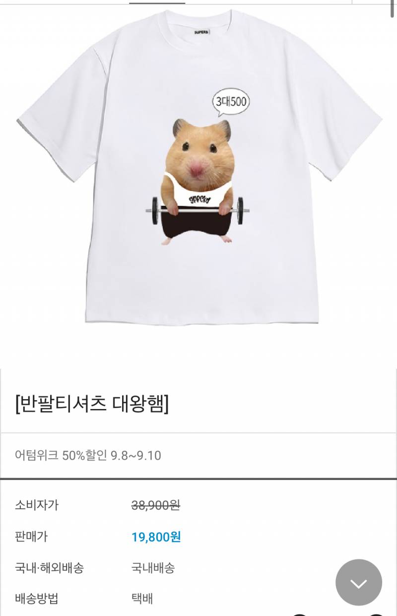[잡담] 헬스장에서 이 티 입은 사람 보면 킹받을 것 같애?ㅋㅋㅋ | 인스티즈