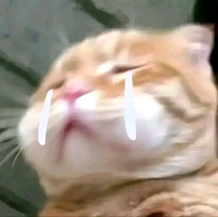 [잡담] 얘들아 (0명 시얼샤 진짜 엄마가 됐어ㅜㅜ | 인스티즈