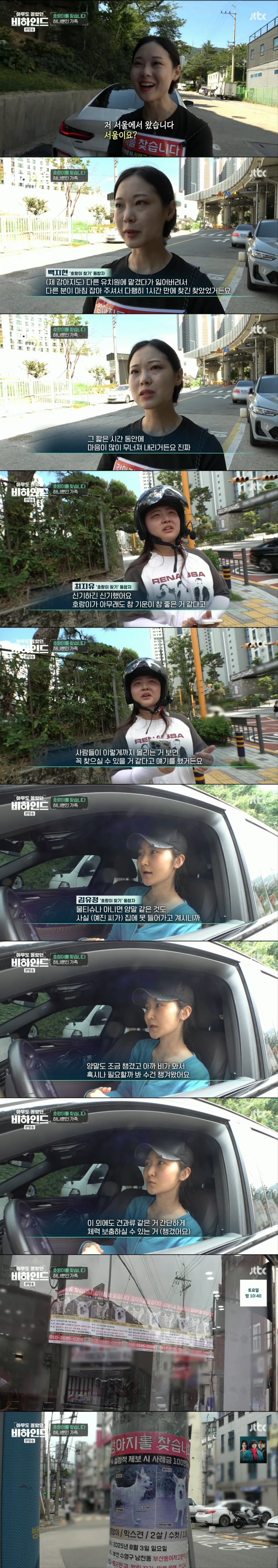 한달 넘게 차에서 숙식하며 반려견을 찾고 있는 견주 사연 | 인스티즈