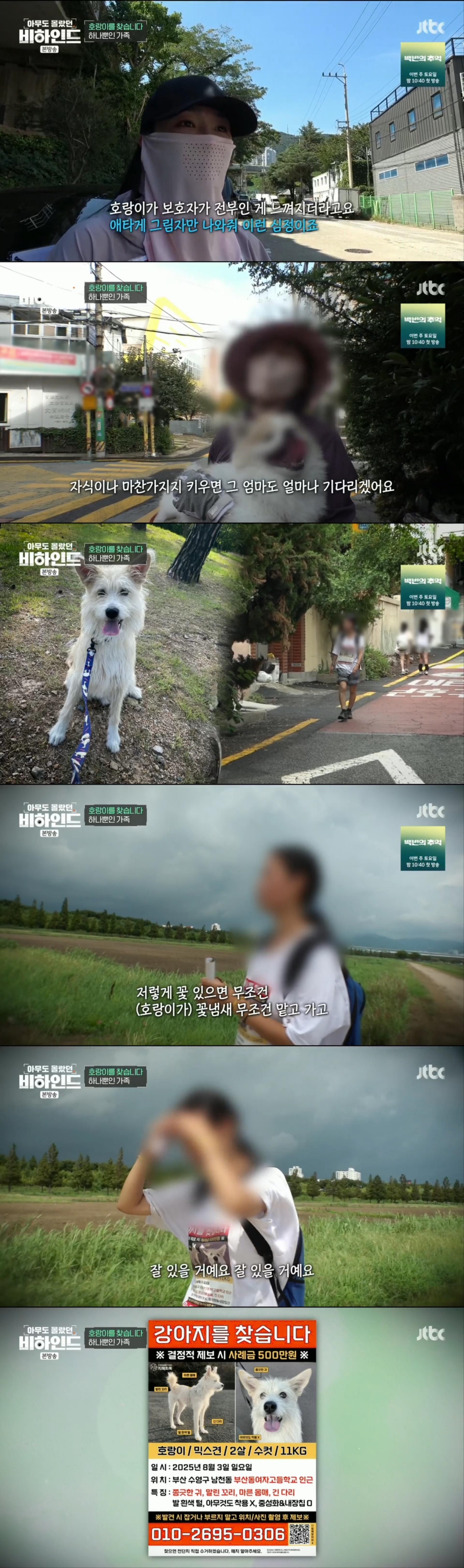 한달 넘게 차에서 숙식하며 반려견을 찾고 있는 견주 사연 | 인스티즈