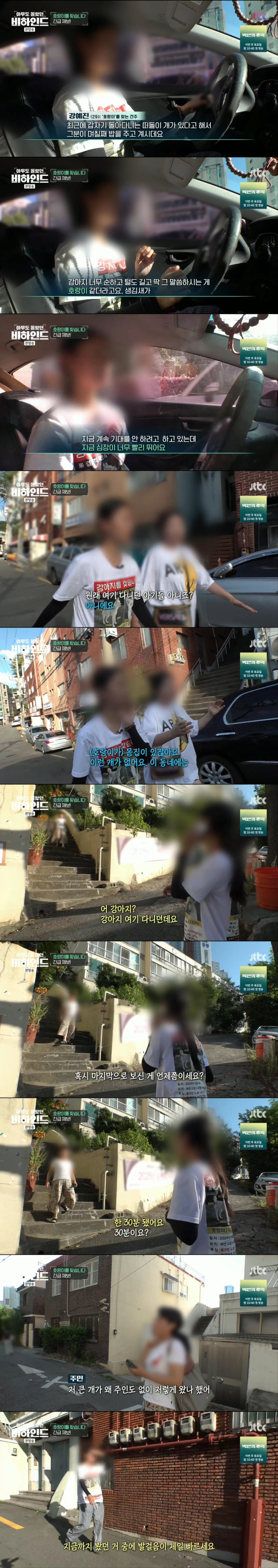 한달 넘게 차에서 숙식하며 반려견을 찾고 있는 견주 사연 | 인스티즈