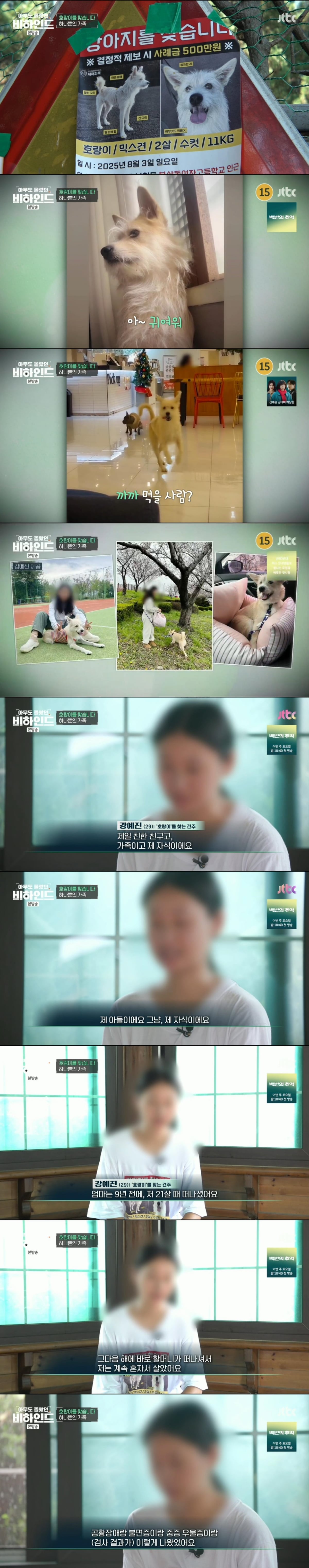 한달 넘게 차에서 숙식하며 반려견을 찾고 있는 견주 사연 | 인스티즈