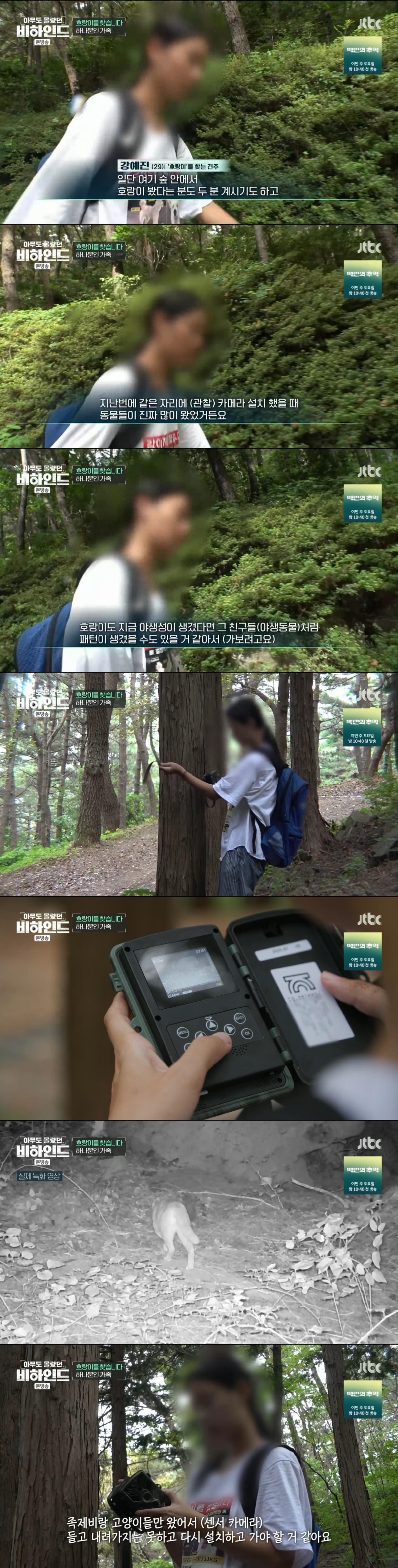 한달 넘게 차에서 숙식하며 반려견을 찾고 있는 견주 사연 | 인스티즈