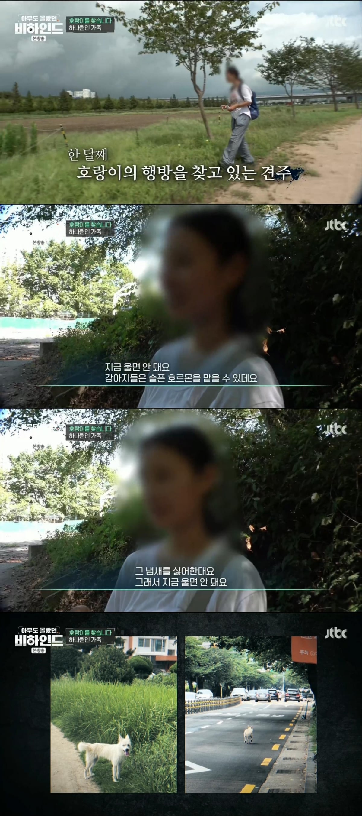 한달 넘게 차에서 숙식하며 반려견을 찾고 있는 견주 사연 | 인스티즈