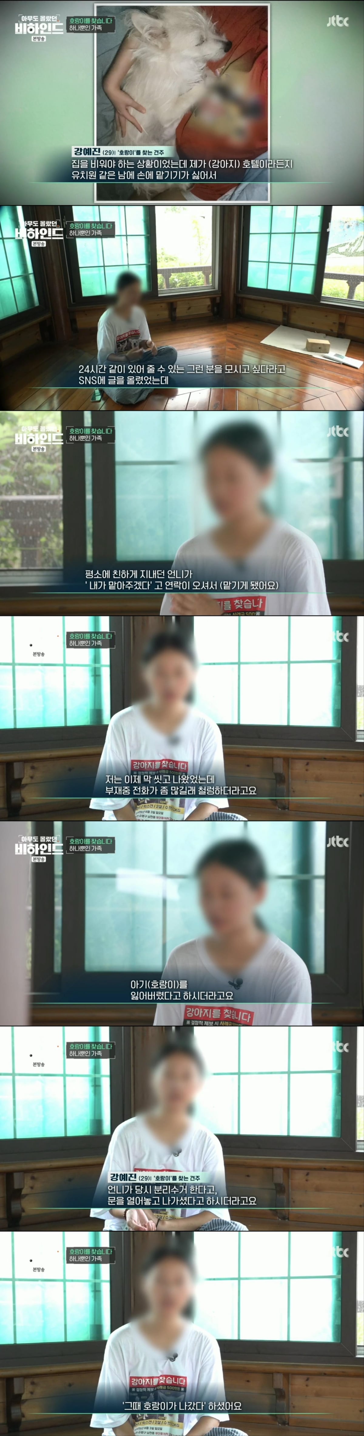 한달 넘게 차에서 숙식하며 반려견을 찾고 있는 견주 사연 | 인스티즈