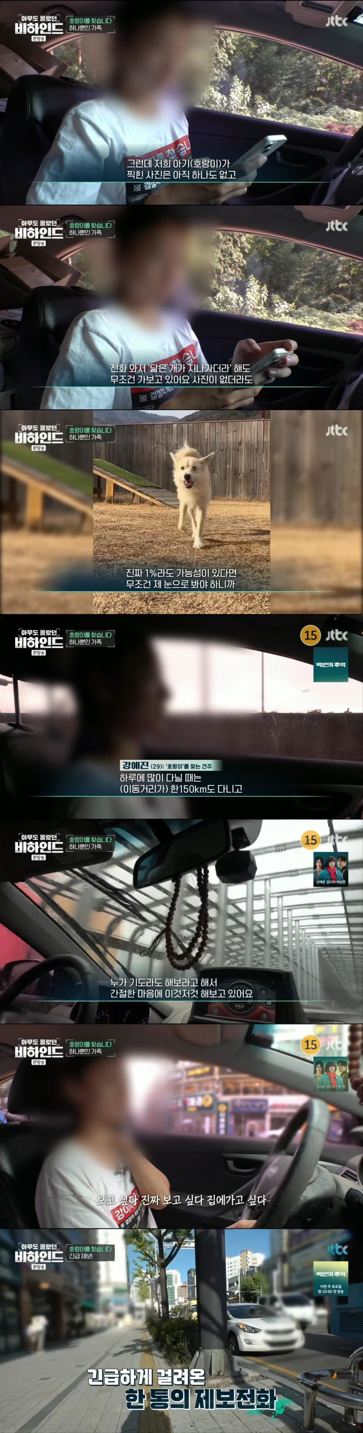 한달 넘게 차에서 숙식하며 반려견을 찾고 있는 견주 사연 | 인스티즈