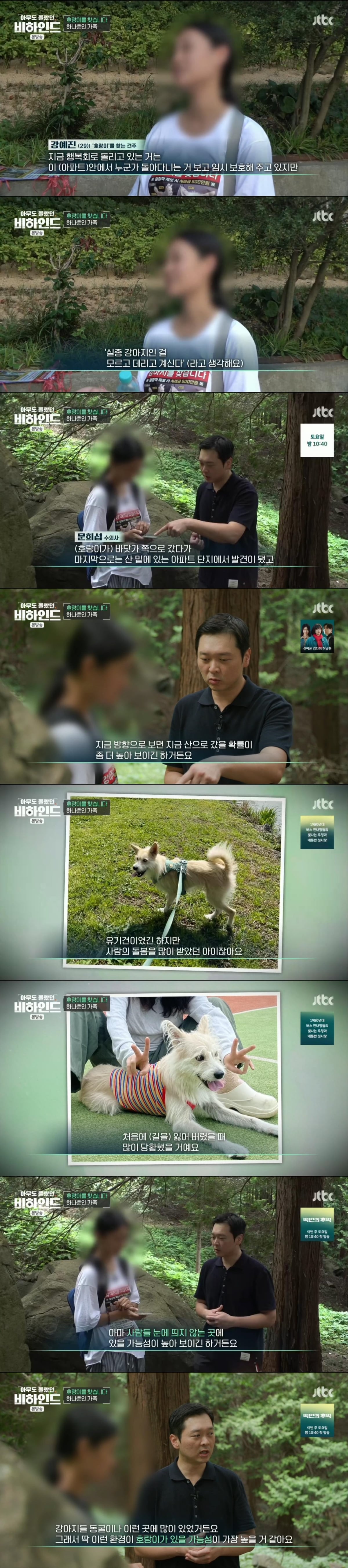 한달 넘게 차에서 숙식하며 반려견을 찾고 있는 견주 사연 | 인스티즈