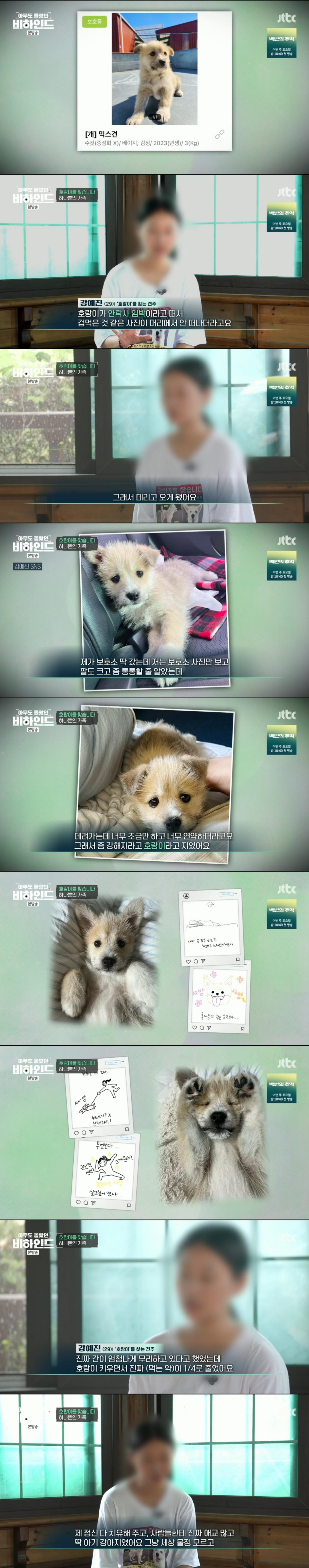 한달 넘게 차에서 숙식하며 반려견을 찾고 있는 견주 사연 | 인스티즈