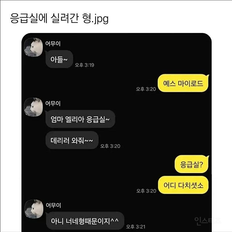 응급실에 실려간 형 | 인스티즈