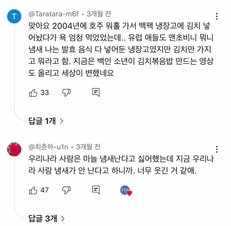 요즘 한류 상황에 현타 느낀다는 일부 교포들.jpg | 인스티즈