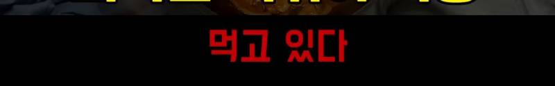 요즘 한류 상황에 현타 느낀다는 일부 교포들.jpg | 인스티즈