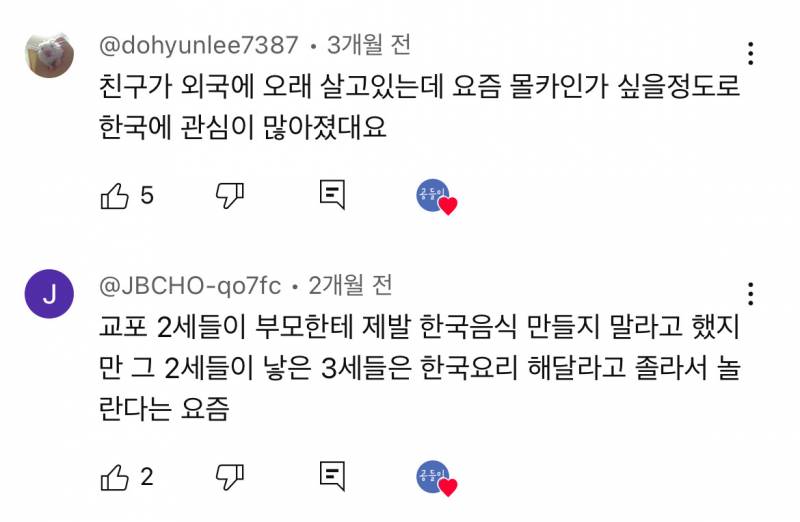 요즘 한류 상황에 현타 느낀다는 일부 교포들.jpg | 인스티즈