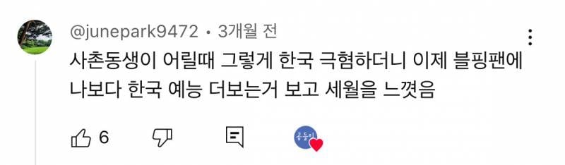 요즘 한류 상황에 현타 느낀다는 일부 교포들.jpg | 인스티즈