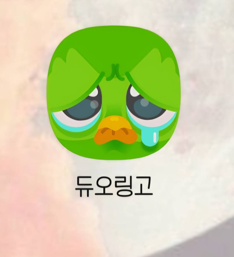 [잡담] 듀오링고 얘 왜 질질 짬??? | 인스티즈