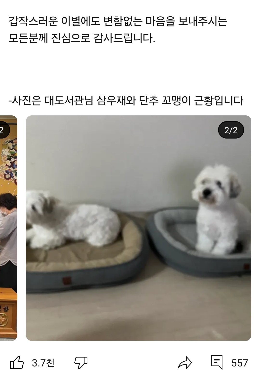 [잡담] 대도서관 채널 공지떴네 | 인스티즈