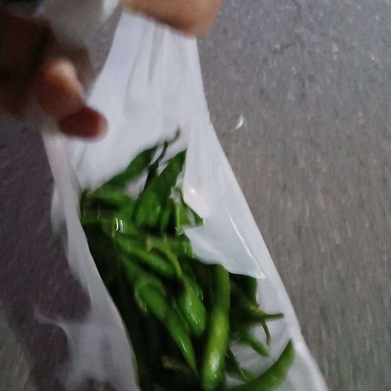 [잡담] 당근거래하고 고추받아 옴ㅋㅋㅋㅋㅋ | 인스티즈