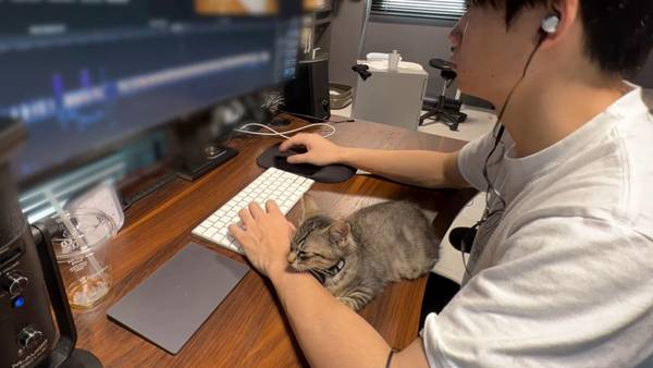 며칠 전 인티에 올라온 폐교에서 주운 아기고양이 코텐 최근 근황 | 인스티즈