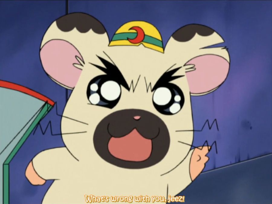 [잡담] 고창석님 완전 이거랑 닮았어 폭셰 나왔을때부터 생각했어 | 인스티즈