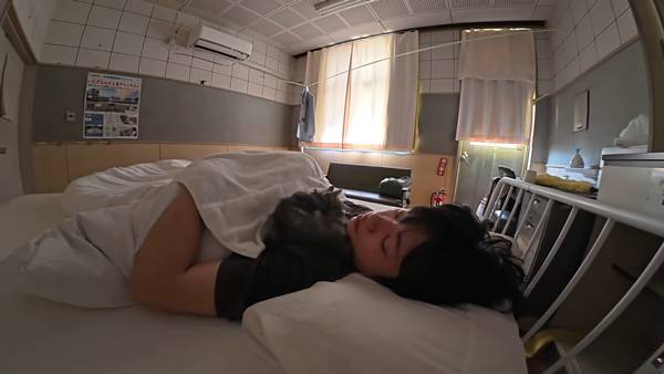 며칠 전 인티에 올라온 폐교에서 주운 아기고양이 코텐 최근 근황 | 인스티즈