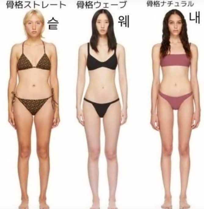 [잡담] 이중에서 너네 체형은 무ㅓ야? | 인스티즈