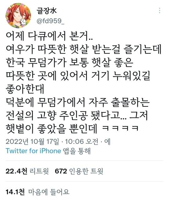 여우가 무덤에서 자주 발견된 이유 | 인스티즈