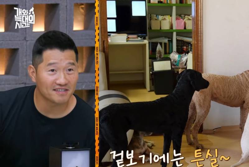 [잡담] 개와 늑대의 시간 보는데 진짜 역대급으로 노답이라 화난다 | 인스티즈