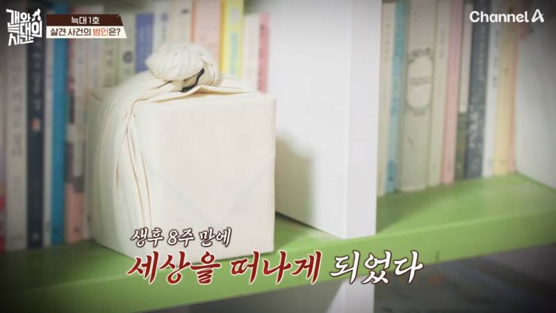 [잡담] 개와 늑대의 시간 보는데 진짜 역대급으로 노답이라 화난다 | 인스티즈