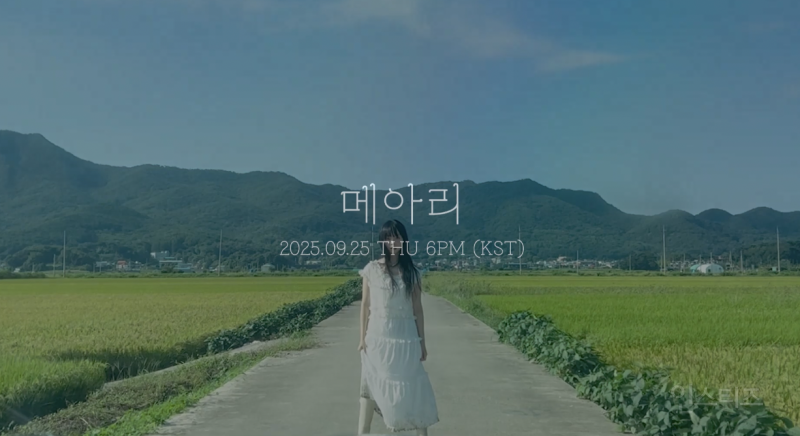 현대인의 니즈를 정확히 파악한 가수의 선물 | 인스티즈
