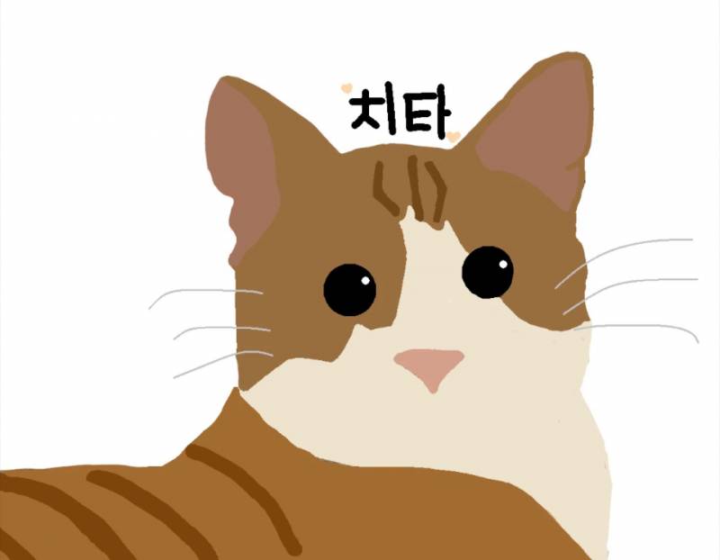 [잡담] 당근에서 100원에 그림 그려준다길래 우리 집 고양이 부탁함 | 인스티즈