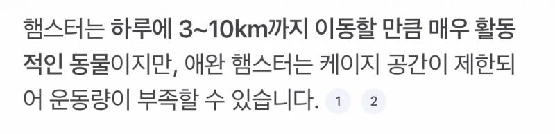 [잡담] 오늘 0.4햄스터 운동했어 | 인스티즈