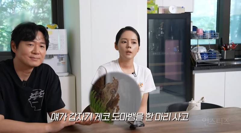 요즘 아들 때문에 파충류를 키우게 되었다는 한가인,연정훈 | 인스티즈