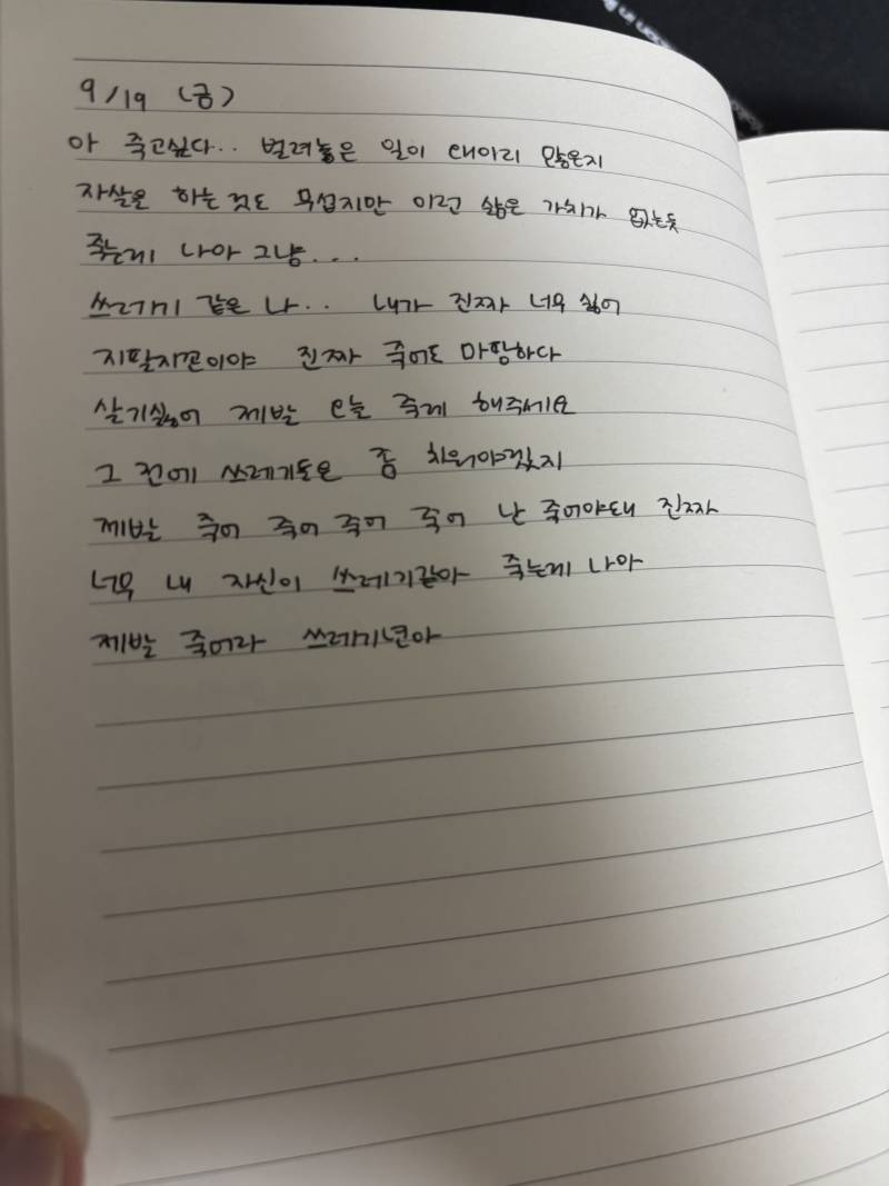 [잡담] 가족이 내 일기장보고 경찰에 신고할거래 | 인스티즈