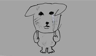 [잡담] 가나디 이게 본체야? | 인스티즈