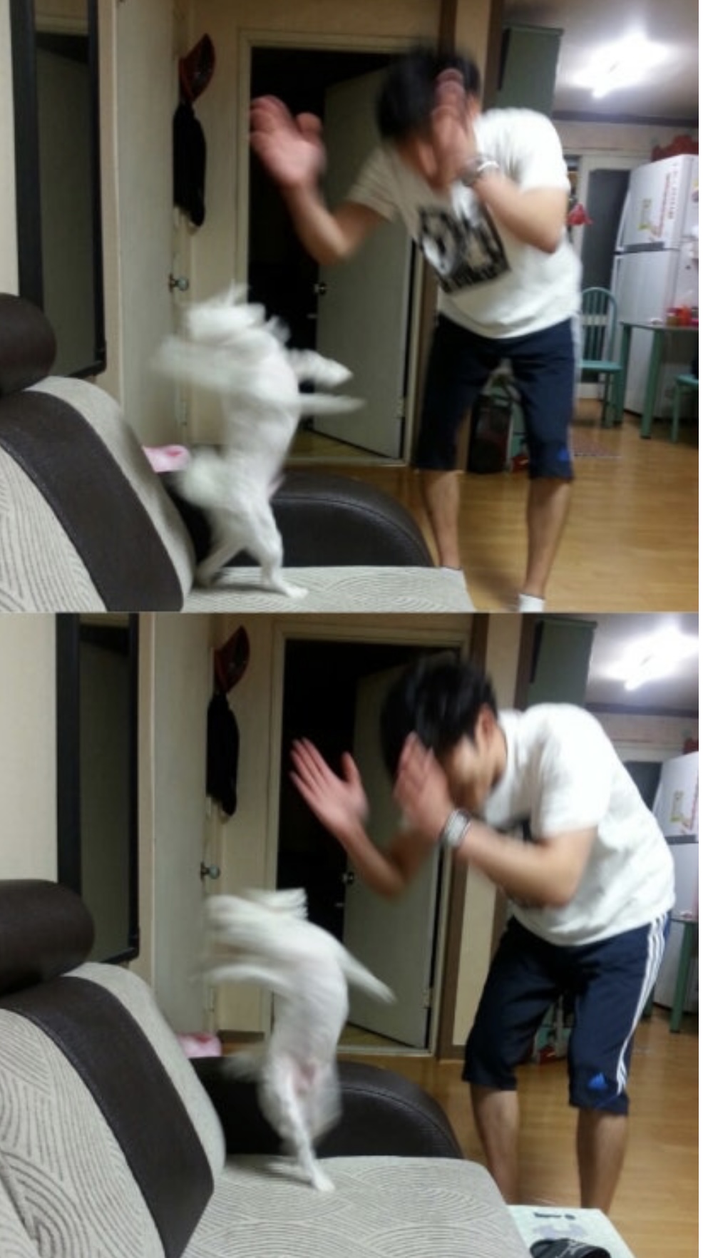 [잡담] 코르티스 팬싸후기보면 팬들 대체로 | 인스티즈