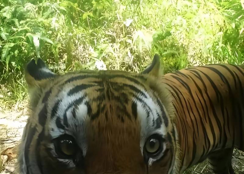 [잡담] 바보 같은 동물 사진 보고 갈 사람 | 인스티즈