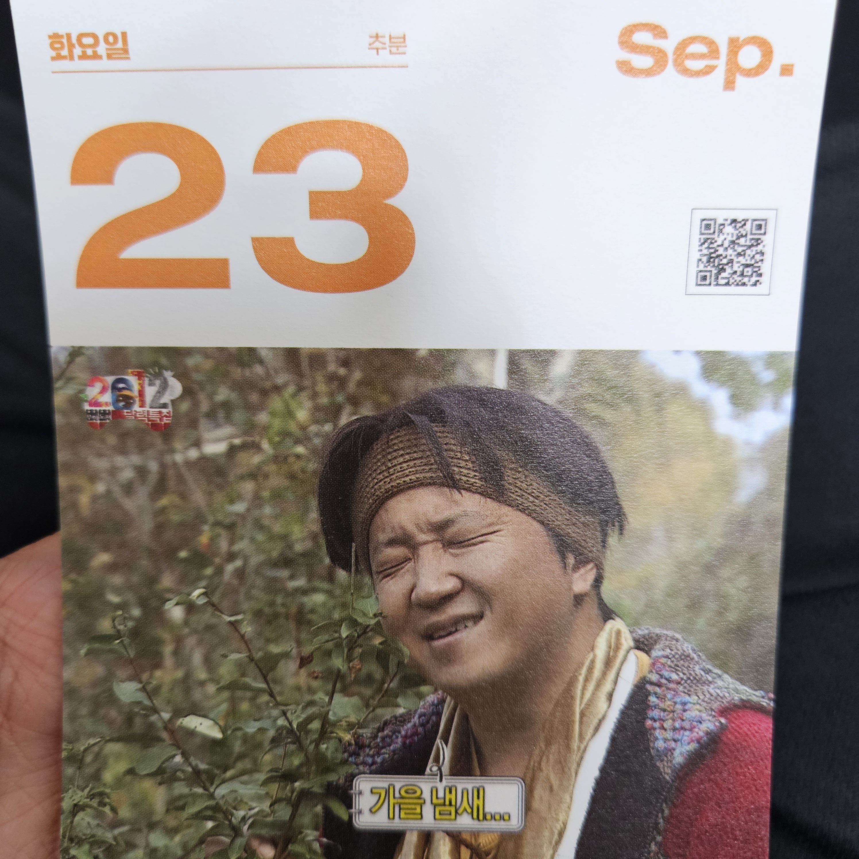 [잡담] 이거 보고 아이브 가을 생일 찾아봤는데 진짜 아깝네 | 인스티즈