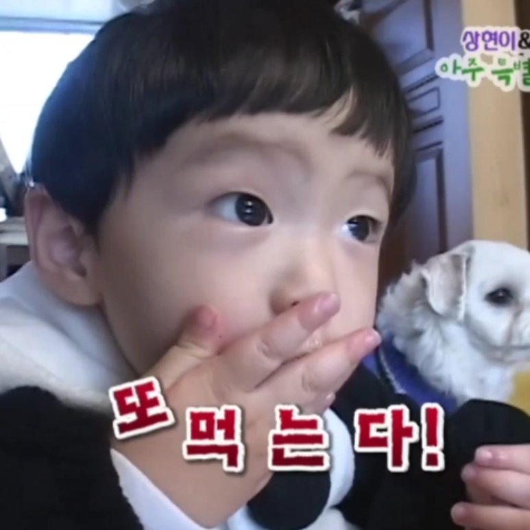 [잡담] 근데 ㄹㅇ 사료 맛있나?? | 인스티즈
