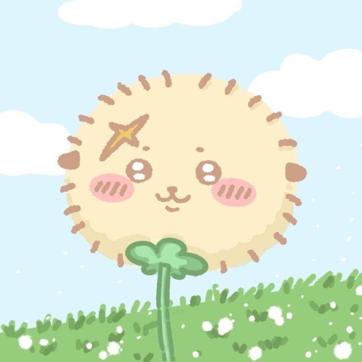 [잡담] 모두 민들레가 되었다 💕 | 인스티즈