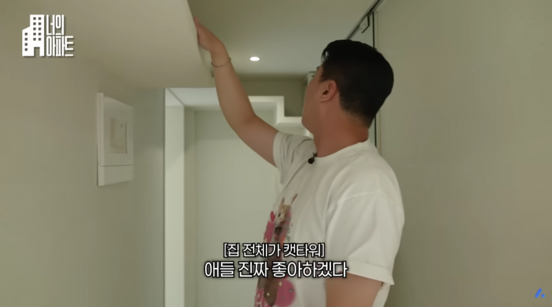 고양이) [잡담] 5000천만원 들여서 집을 캣타워로 꾸며놓은 사람.. | 인스티즈