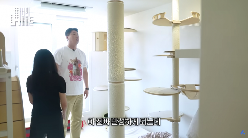 고양이) [잡담] 5000천만원 들여서 집을 캣타워로 꾸며놓은 사람.. | 인스티즈
